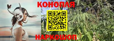 ECSTASY Канаш