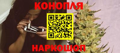 наркотики Камышлов